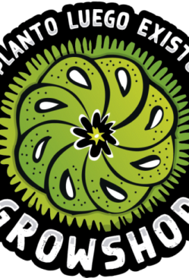 787602-MLA43556360802_092020
