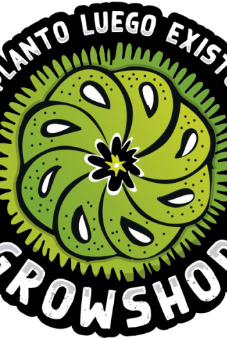 888550-MLA43555801616_092020