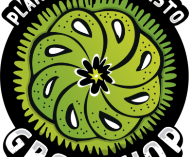 683004-MLA42788588925_072020