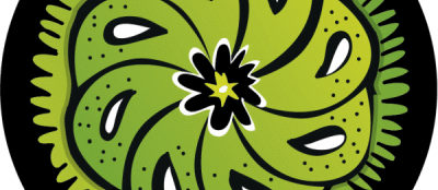 51myYsSWgWL._AC_UX522_