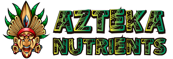 azteka